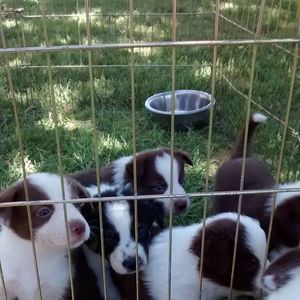 Meet your Posher, Leah